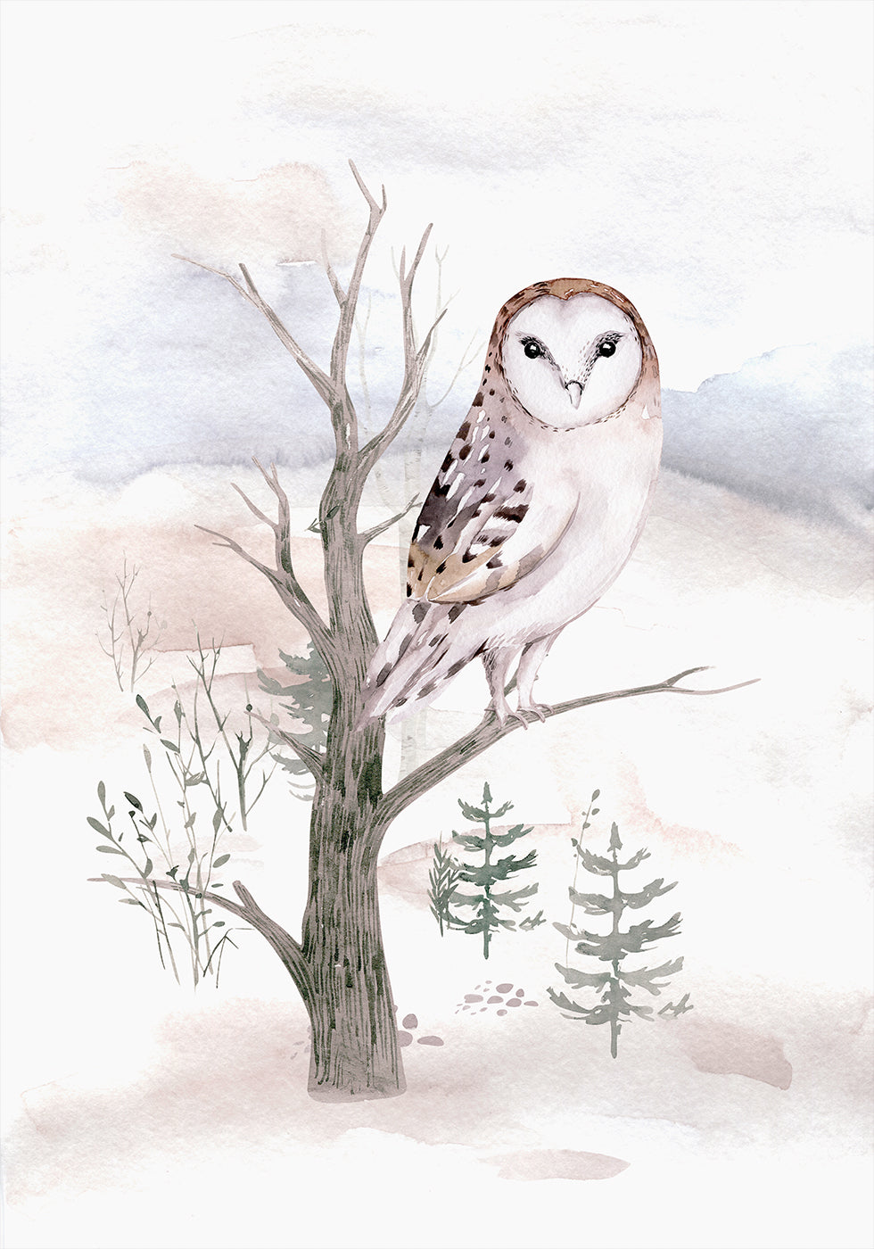 Watercolor Owl in the Forest Plakat - Posterbox.dk