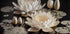 White Lotus Flowers Plakat - Posterbox.dk