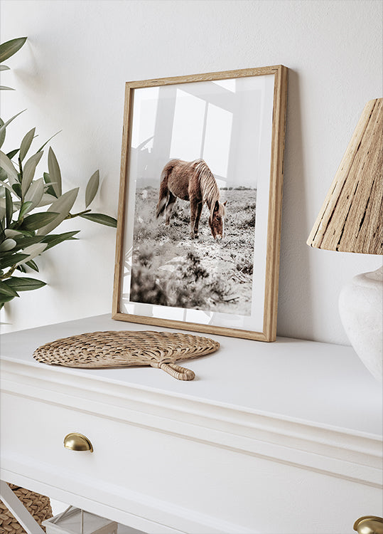 Wild Horse in Serene Landscape Nature Plakat - Posterbox.dk