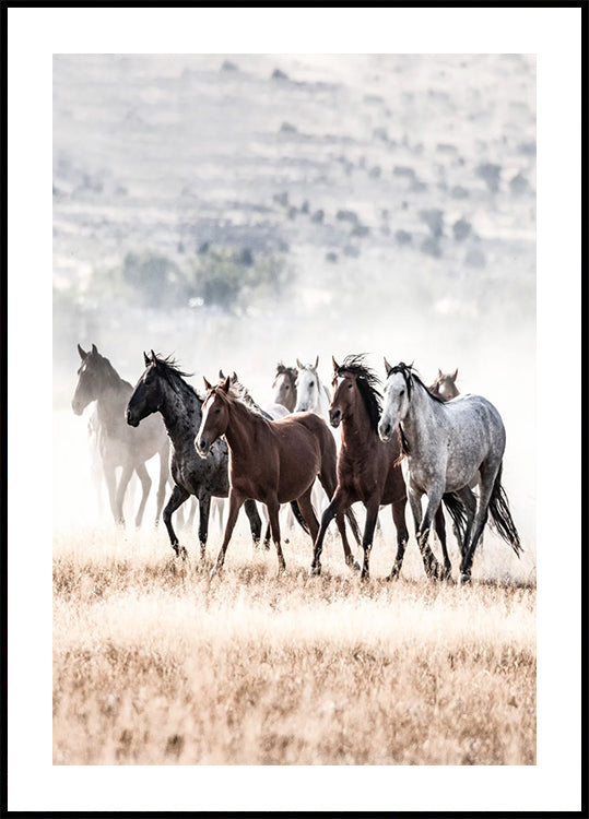 Wild Horses Running Free Nature Plakat - Posterbox.dk