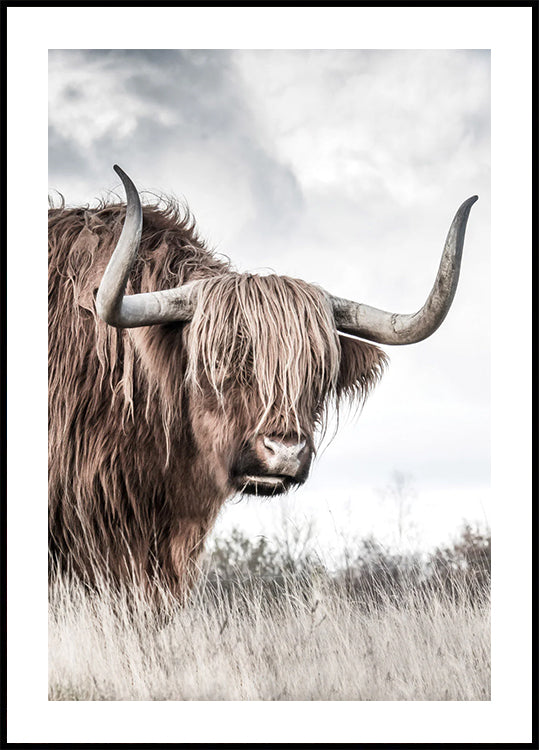 Winter Highland Cow Plakat - Posterbox.dk