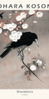 Woodblock, Crow on Cherry Blossom Branch By Ohara Koson Plakat - Posterbox.dk