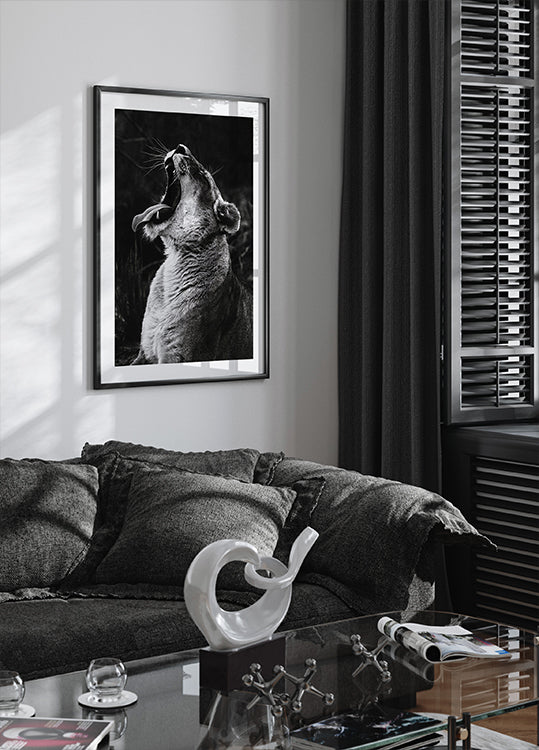 Yawning Lion Plakat - Posterbox.dk