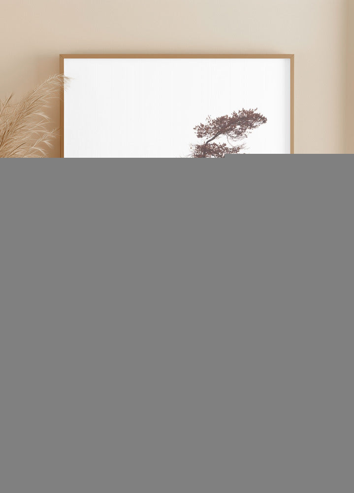 Sculptral Pines Plakat