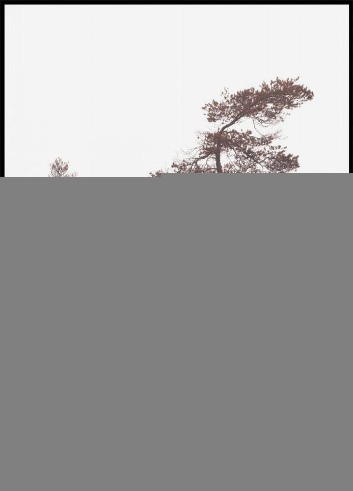 Sculptral Pines Plakat