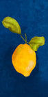 Just a little lemon Plakat - Posterbox
