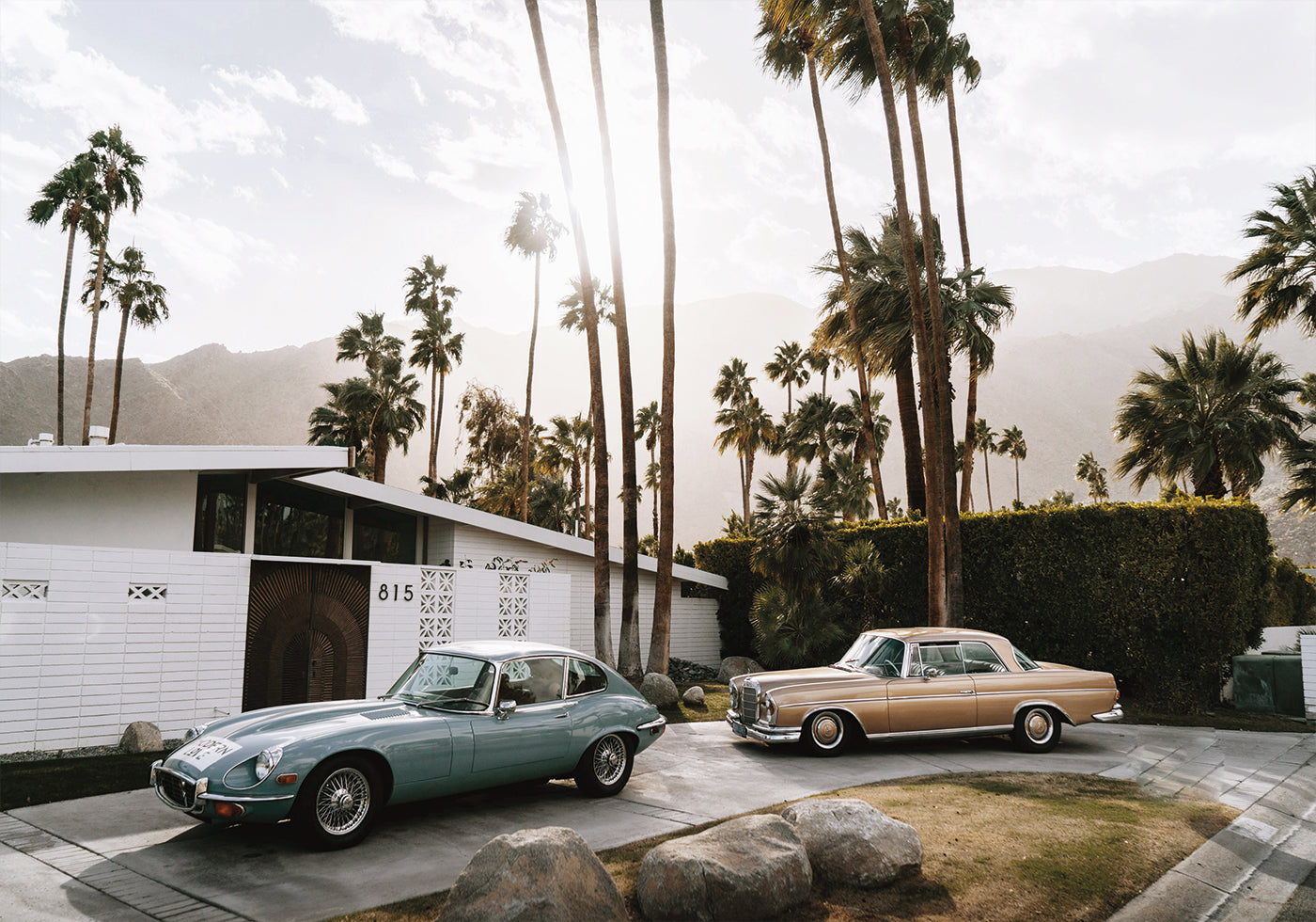 Retro Cars in Palm Springs Plakat - Posterbox.dk