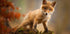 Fox Plakat - Posterbox