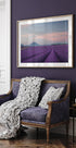 Lavender field - Posterbox