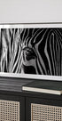 Abstract Zebra Plakat - Posterbox