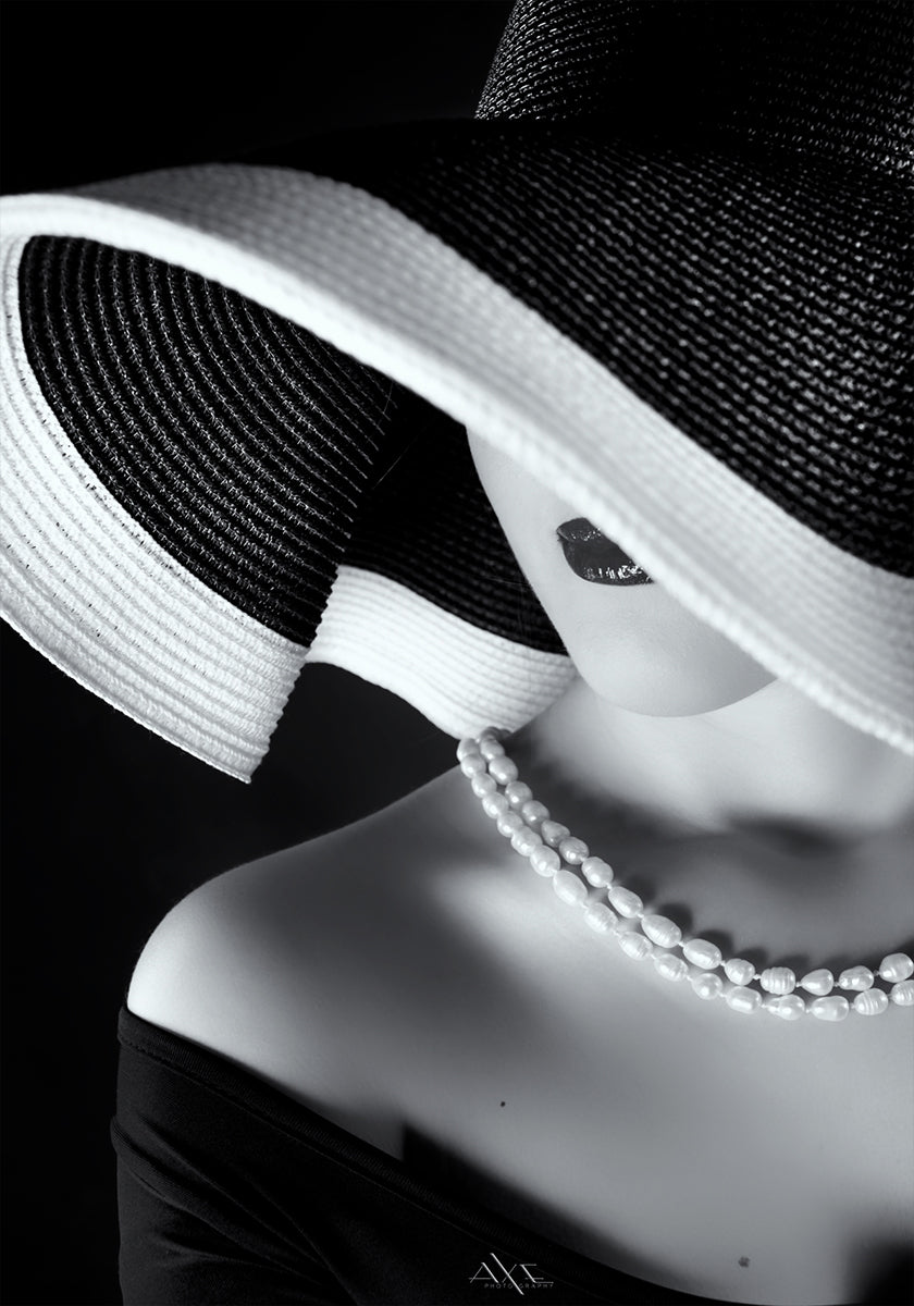 Elegance in Shadow Plakat - Posterbox