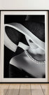 Elegance in Shadow Plakat - Posterbox