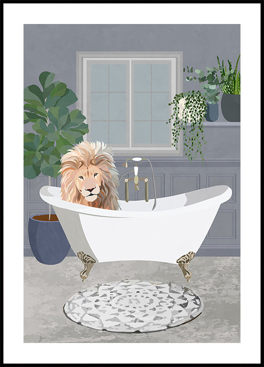 Lion takes a bath Plakat - Posterbox
