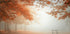 The wonders of nature Plakat - Posterbox