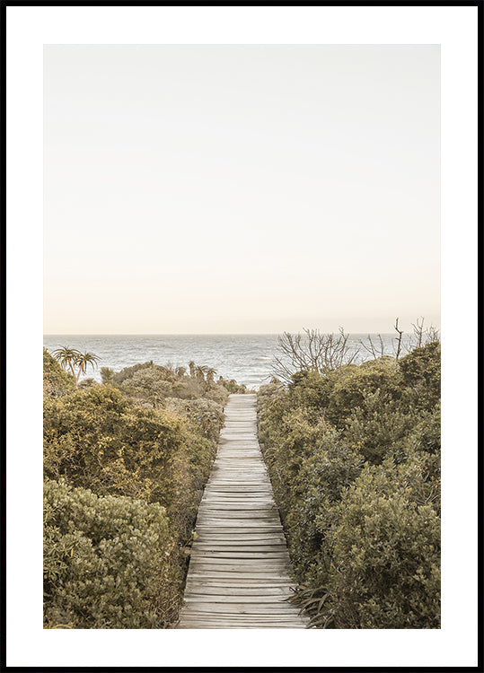 Pathway to Tranquility Plakat - Posterbox