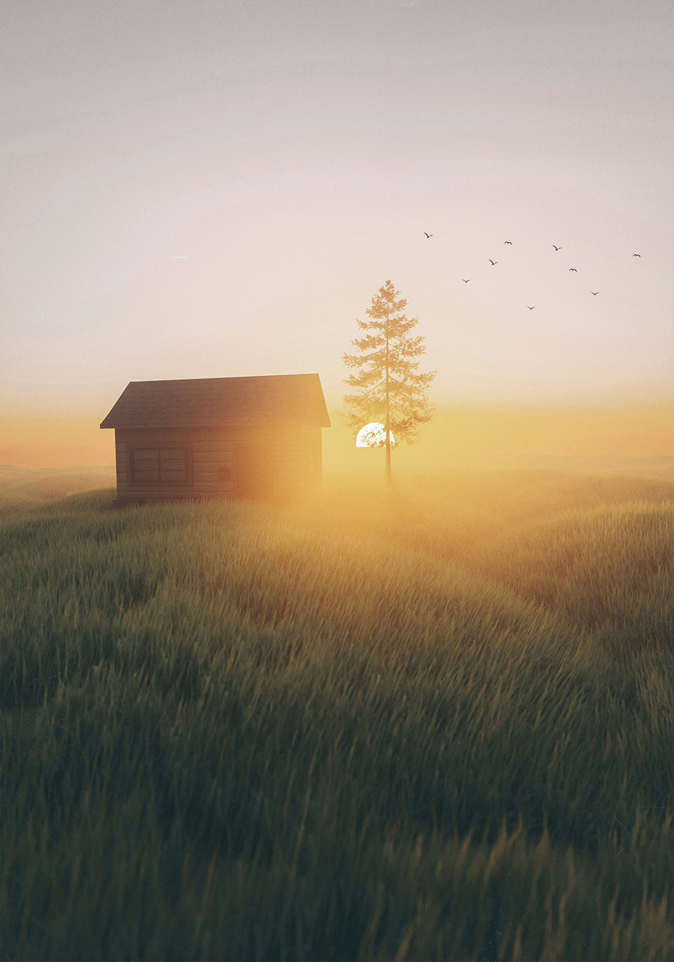 Sunset In The Field Plakat - Posterbox.dk