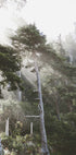 Sunshine Through The Fog Plakat - Posterbox.dk