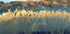 California Aerial Plakat - Posterbox
