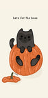 Black Cat Playfully Sitting In A Pumpkin - Posterbox