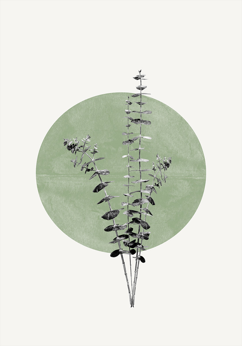 Nature's Echo Plakat - Posterbox
