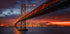 Bay Bridge at Night Plakat - Posterbox