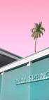 Welcome to Palm Springs Plakat - Posterbox