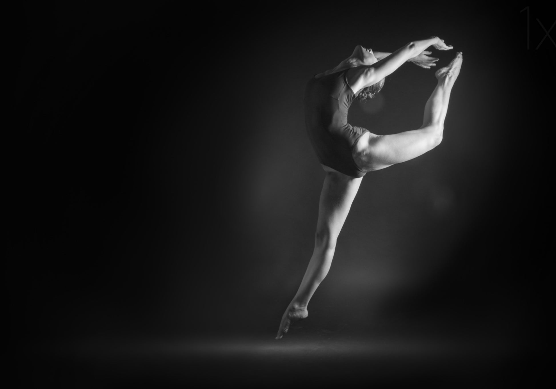 Graceful Ballet Pose