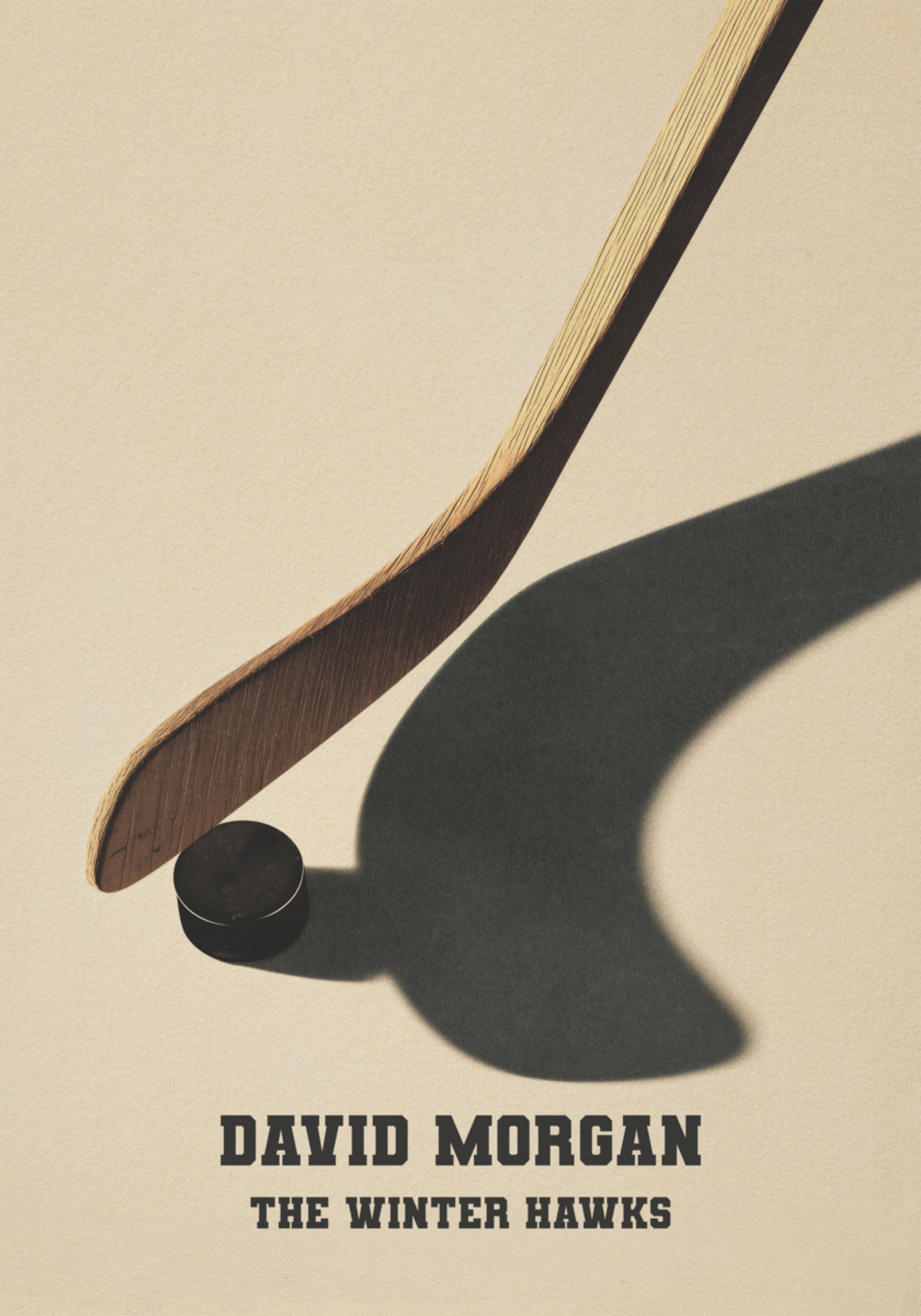 Vintage Hockey Støvle og Puck Skyggebillet