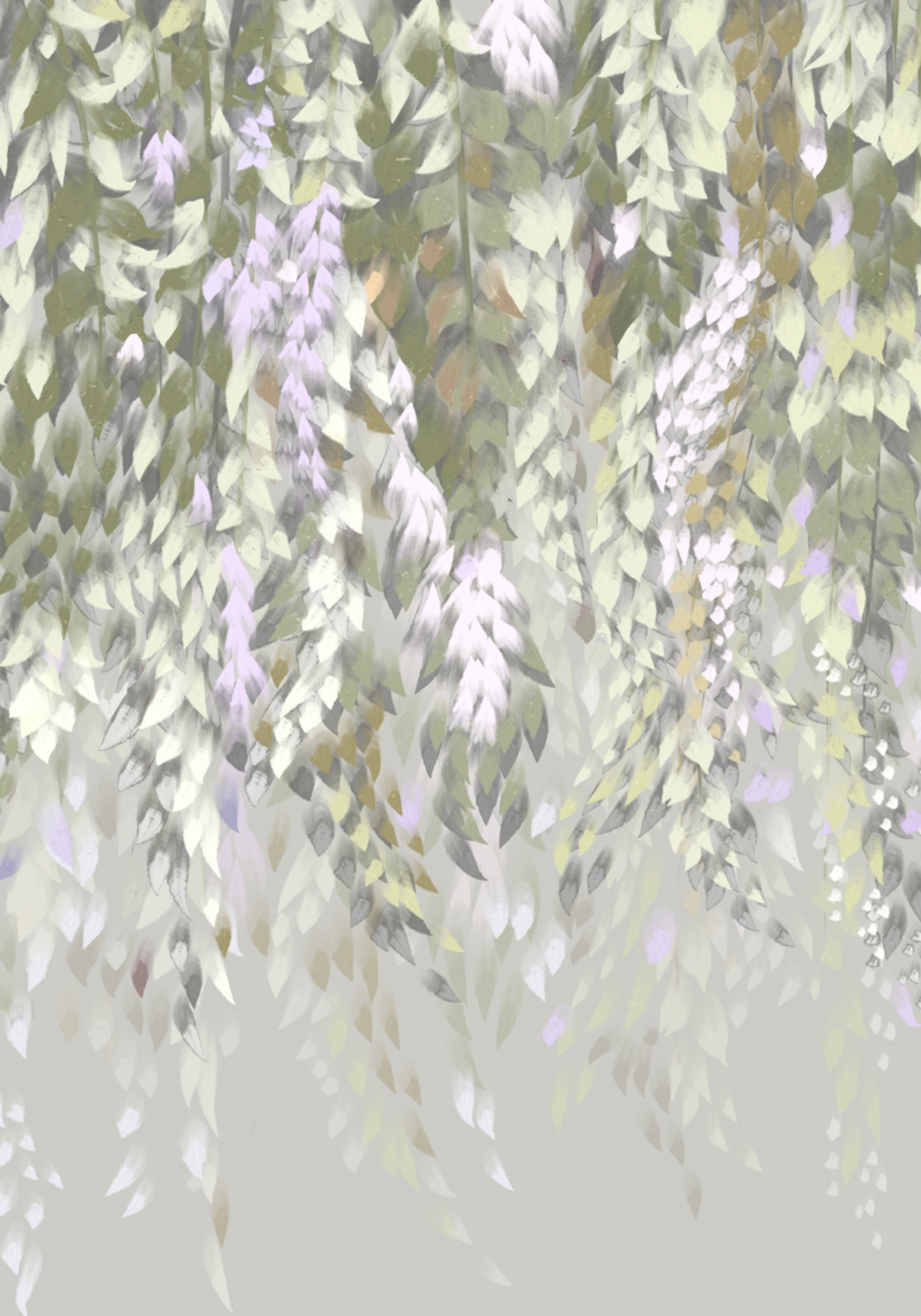 Pastel Wisteria Blossoms