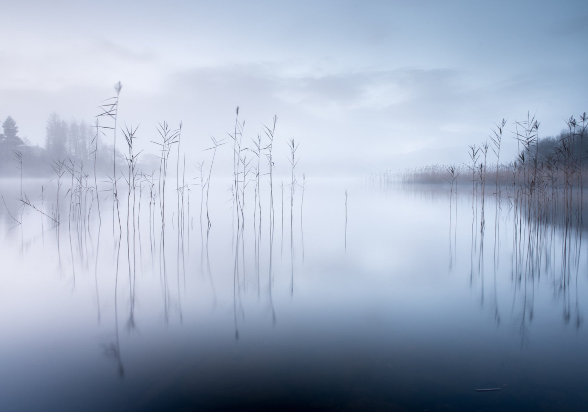 Tranquil Misty Morning