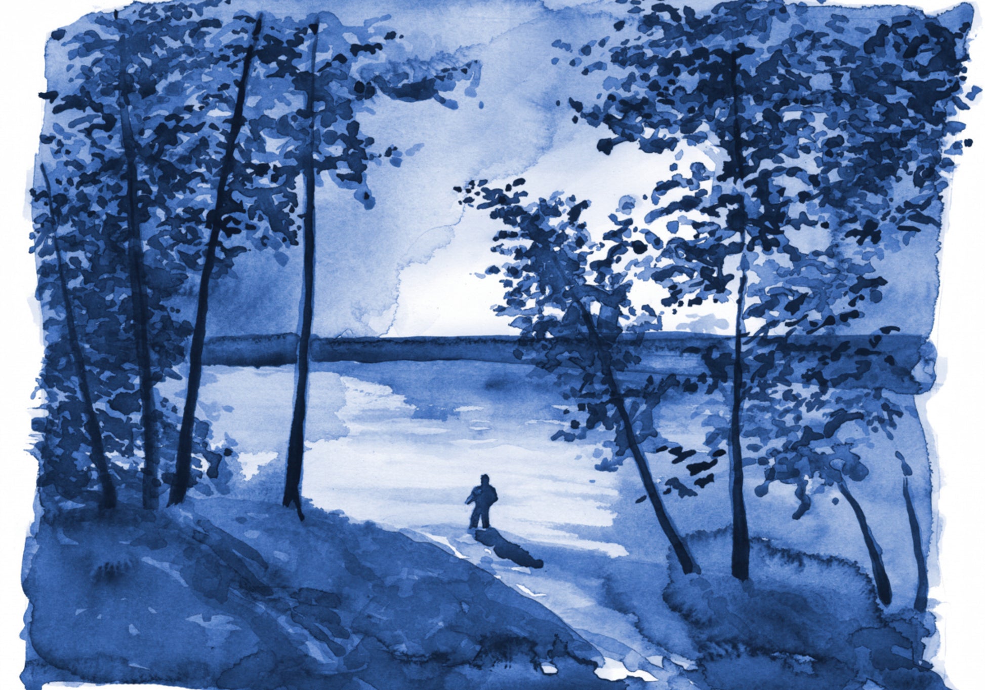Blue Forest Lake Solitude
