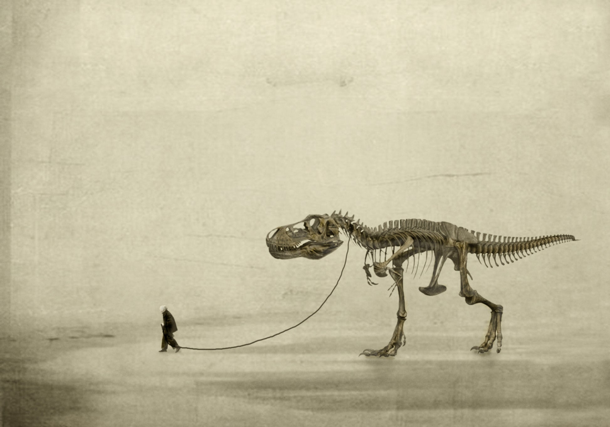 the walk