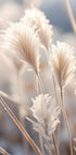 Frosted Elegance Plakat - Posterbox