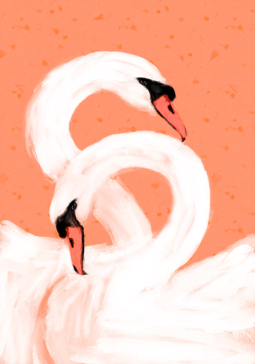 Graceful Swans - Posterbox