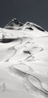 freeride Plakat - Posterbox