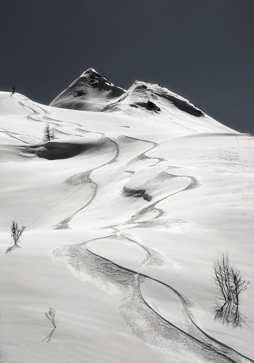 freeride Plakat - Posterbox