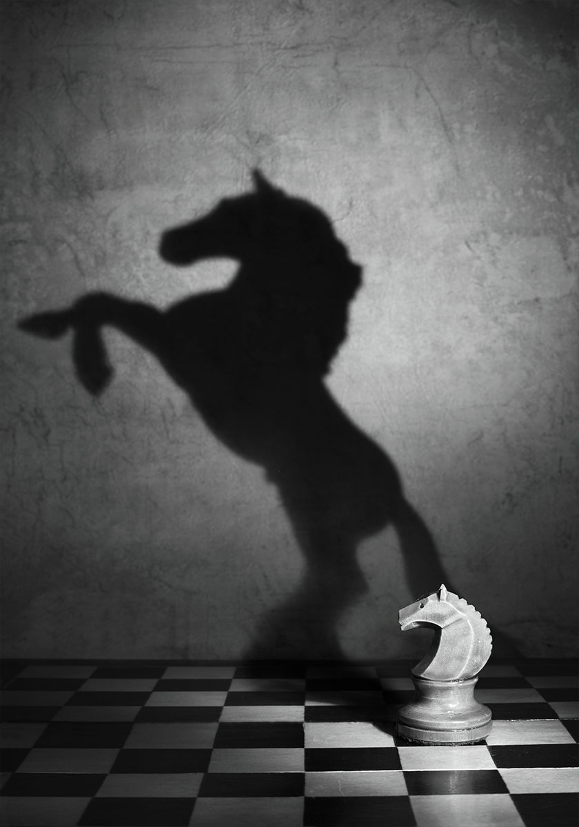 The soul of a mustang - Posterbox