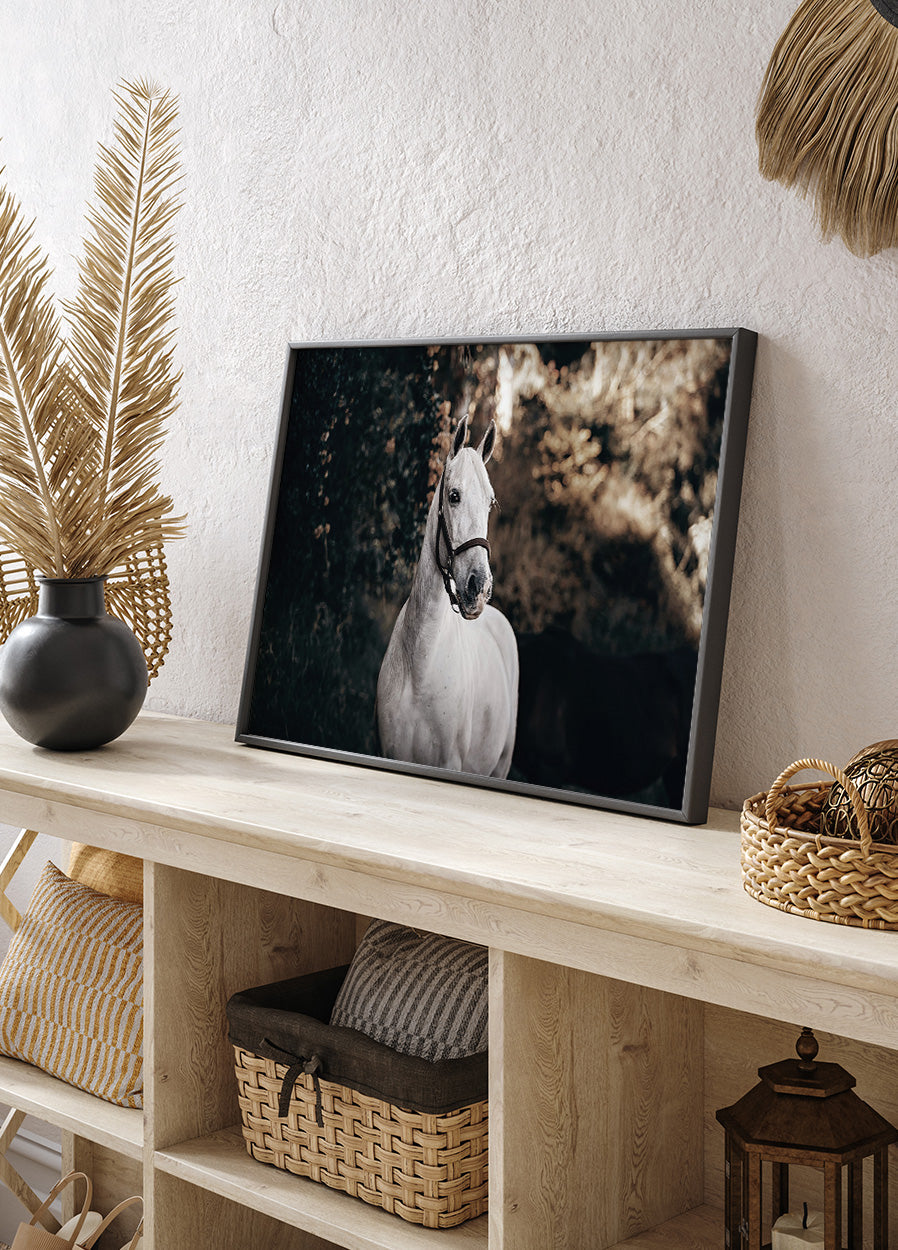White Horse Plakat - Posterbox.dk