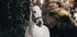 White Horse Plakat - Posterbox.dk