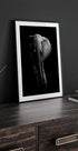 Elephant! - Posterbox