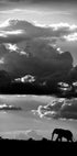 He walks under an African Sky - Posterbox