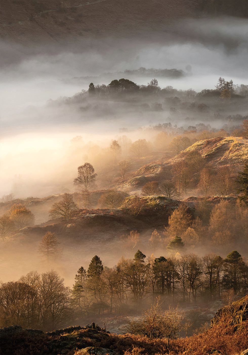 Wonderful Autumn Morning Plakat